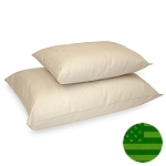 Naturepedic Organic Pillow - Junior