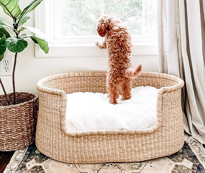 Johari Bolga Pet Bed from Ghana