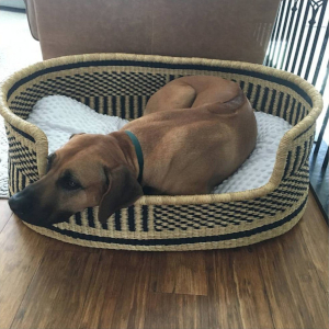 Maddox Bolga Pet Bed from Ghana