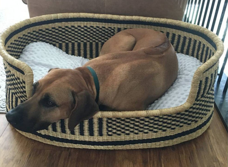 Maddox Bolga Pet Bed from Ghana