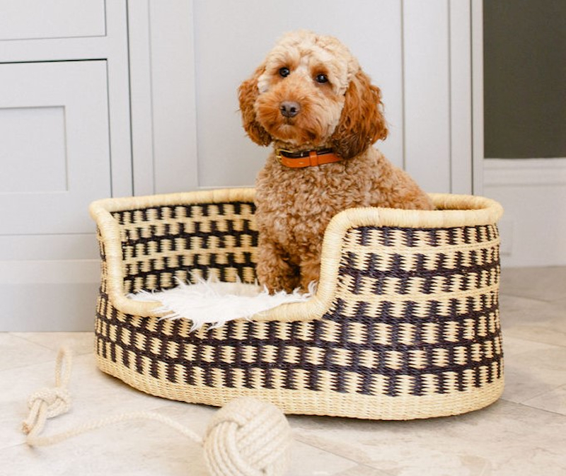 Mason Bolga Pet Bed from Ghana