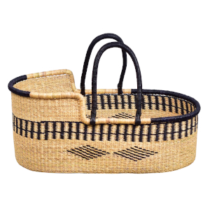 Misty Bolga Moses Basket