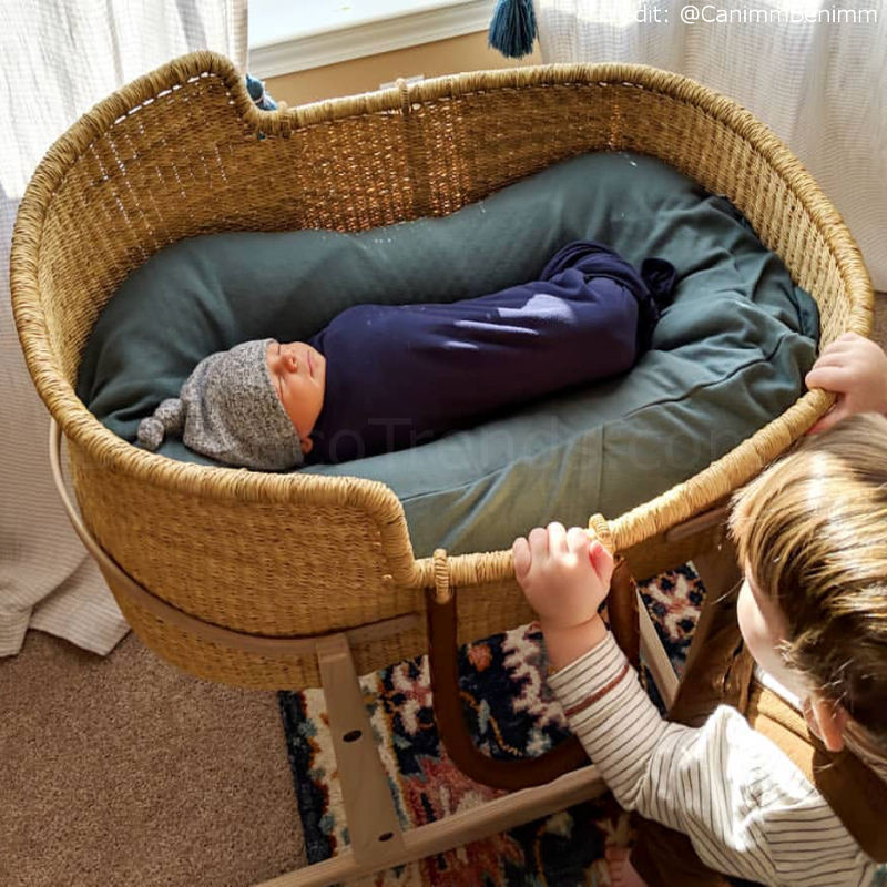 snuggle me organic in bassinet