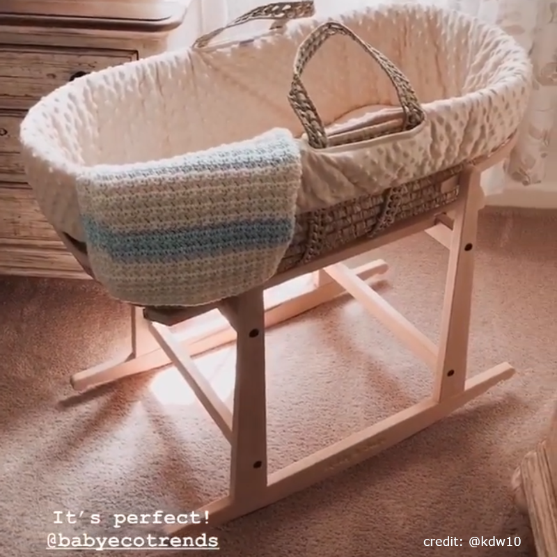 tadpoles moses basket