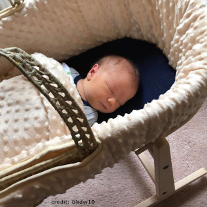 eco moses basket