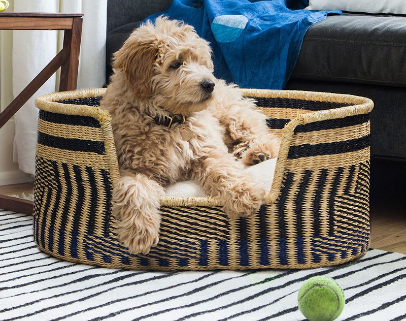 Rex Bolga Pet Bed from Ghana