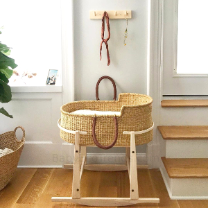 design dua bassinet canada